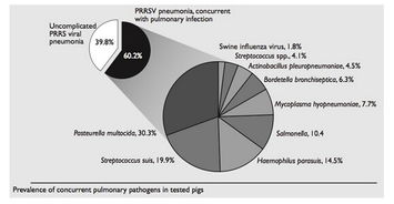 PRRS行業(yè)動(dòng)態(tài)全解析 行情走勢(shì)、企業(yè)管理與行業(yè)趨勢(shì)